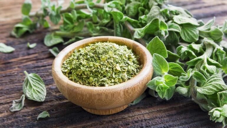 Exploring The Health Benefits Of Oregano In 2024